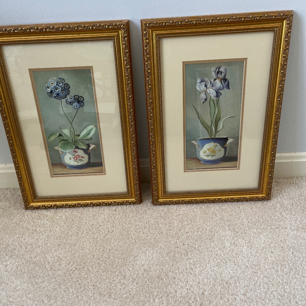 2 Framed botanical prints